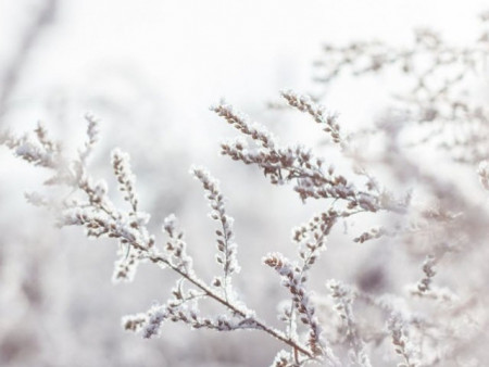 Ирэх 10 хоногийн цаг агаарын урьдчилсан төлөв