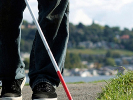 Улсын хэмжээнд хөгжлийн бэрхшээлтэй иргэдийн 18 хувь нь хөдөлмөр эрхэлж байна