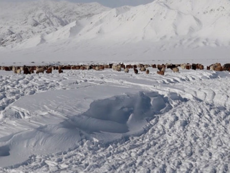 Баян-Өлгий, Увс, Ховдын ихэнх нутгаар зудын эрсдэл үүсэх төлөвтэй байна