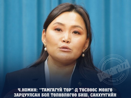 Ч.Номин: Үндэсний хорооны төлөвлөгөөний хэсгээс тастаж тавьсан цаас санхүүгийн баримт биш