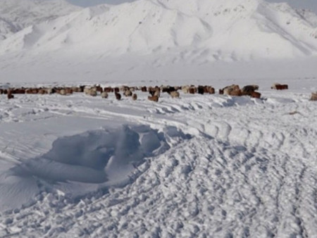 Нийт нутгийн 68 хувьд цастай байна