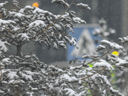 Ойрын 10 хоногийн цаг агаарын урьдчилсан төлөв