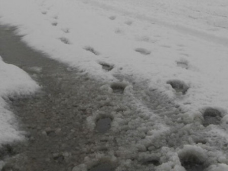 18 мм хүртэл хэмжээтэй бороо, нойтон цас, цас орлоо