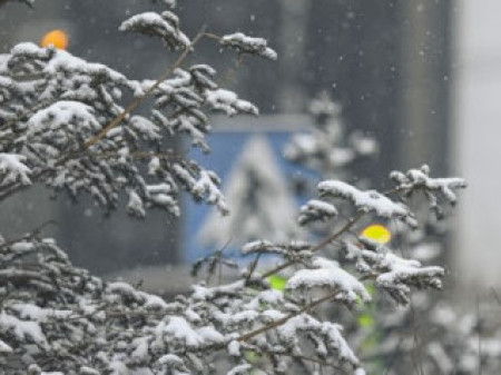 Ирэх долоо хоногт цаг агаар ямар байх вэ