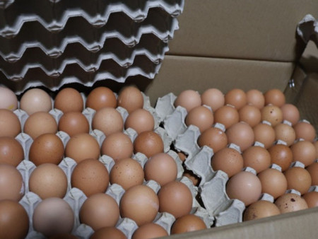 Хуурамч дардастай өндөг худалдан борлуулсан аж ахуйн нэгжид 20.000.000 төгрөгийн торгууль ногдууллаа