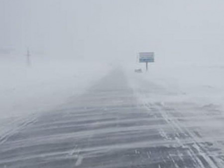 Сэрэмжлүүлэг: Өнгөрсөн шөнийн цаснаар 3 иргэн төөрч, хоёрыг нь эсэн мэнд олсон бол нэг иргэн нас баржээ