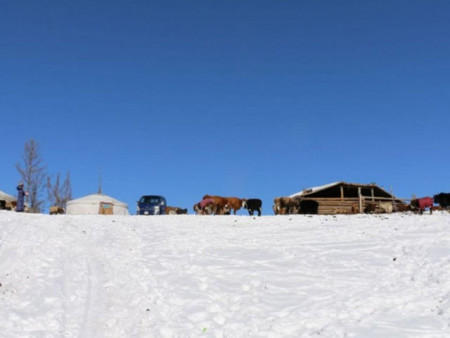 Баян-Өлгий, Увс, Ховдын ихэнх нутгаар зудын эрсдэл үүсэх төлөвтэй байна