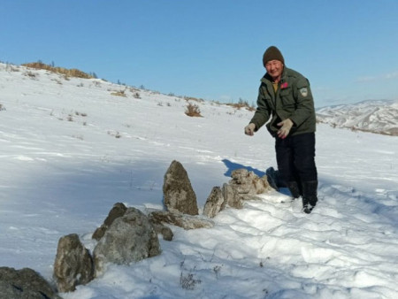 Зэрлэг амьтдад зориулан био техникийн арга хэмжээ авч байна