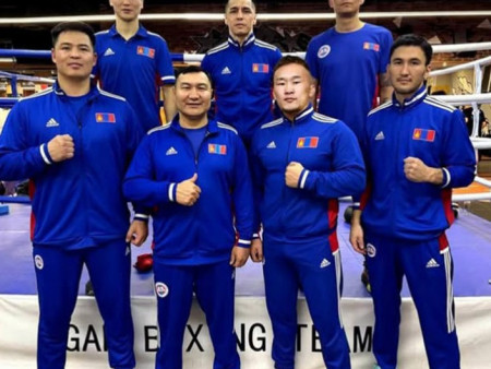 Боксын ДАШТ эхэллээ