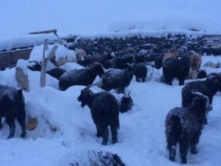 Нийт нутгийн 4 хувьд зудын эрсдэл нэн их, 17 хувьд их гарчээ