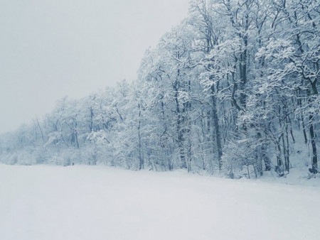 Ирэх 10 хоногт цаг агаар ямар байх вэ