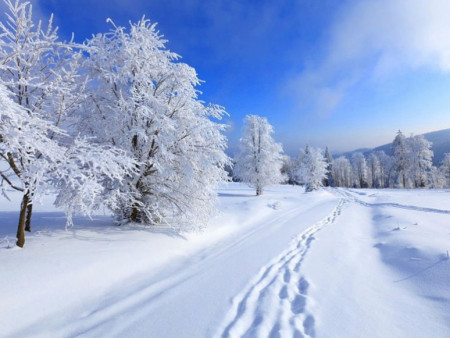 Өвлийн саруудад төв болон зүүн аймгуудын нутгаар цас ахиу орж, цасны зузаан нэмэгдэх хандлагатай байна