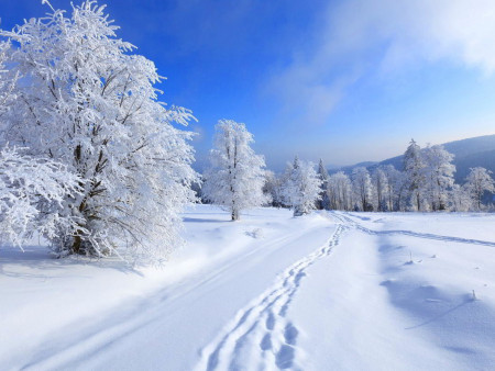 Ирэх 10 хоногт цаг агаар ямар байх вэ