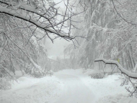 Ирэх арав хоногийн цаг агаарын урьдчилсан төлөв
