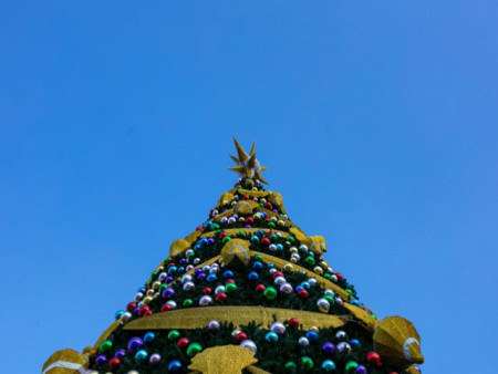 Нийслэлийн 9 дүүргийн 14 байршилд зассан сүлд модны гэрлийг өнөөдөр 19:00 цагт зэрэг асаана