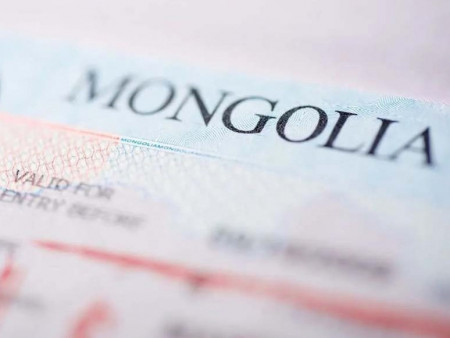 Өнгөрөгч онд 124,945 гадаадын иргэнд виз олгожээ