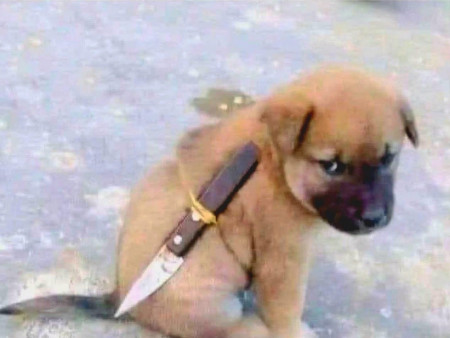 Р.Эмүжин: ТЕГ таван жилийн мөрдлөгийн үр дүн, баримт нотолгоо байгаа гэдгээ мэдэгдэж байлаа,бичлэгийг нь хаалттай байдлаар үзүүлсэн ч гэдэг...