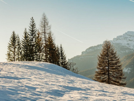Арав хоногийн цаг агаарын урьдчилсан төлөв