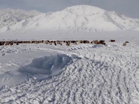 Нийт нутгийн 87 хувьд цастай байна