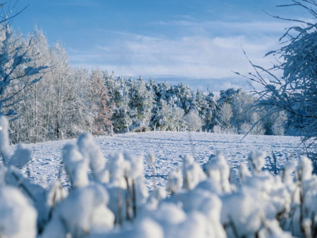 Ирэх 10 хоногт цаг агаар ямар байх вэ