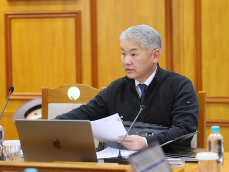 Хяналт шалгалтын давхардал, хүнд суртал, чирэгдлийг арилгаж, мэргэжил, арга зүйгээр зөвлөн тусалж ажиллахыг Ерөнхий сайд үүрэг болгов