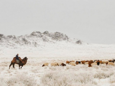 Нэгдүгээр сарын цаг агаарын ерөнхий төлөв
