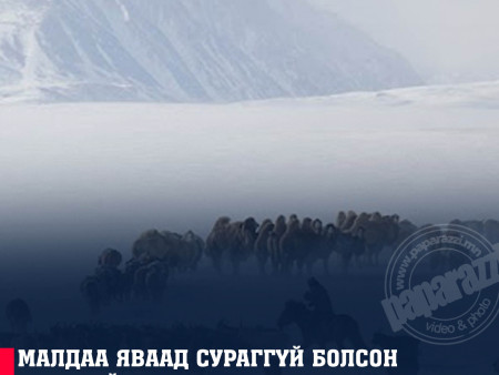 Малдаа яваад сураггүй болсон иргэдийг эсэн мэнд олжээ
