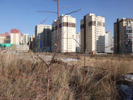 Ногоон нуур орчмын 4.5 га талбайг чөлөөлж, хиймэл нуур бүхий цэцэрлэгт хүрээлэн байгуулна