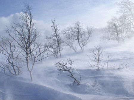 СЭРЭМЖЛҮҮЛЭГ: Хангай, Хөвсгөл, Хэнтийн уулархаг нутгаар цас орж, явган шуурга шуурна