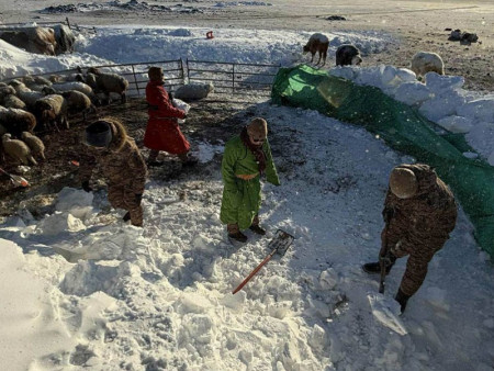 Цэргийн алба хаагчид халхгол сумын 50 гаруй малчдад туслаад байна