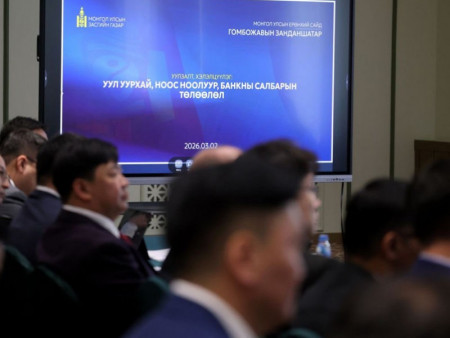 Ноос, ноолуурын экспортыг нэмэгдүүлэхэд бодлогын дэмжлэг үзүүлэхээр болов