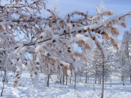 Гуравдугаар сарын цаг агаарын урьдчилсан төлөв