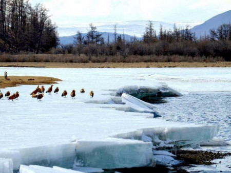 Ойрын арав хоногт цаг агаар ямар байх вэ