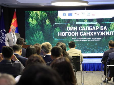 “Ойн салбар ба ногоон санхүүжилт” сэдэвт хэлэлцүүлэг боллоо