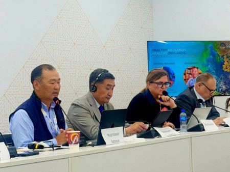 COP17: Ус, намгархаг газрыг хамгаалах нь ган, газрын доройтлыг бууруулах чухал шийдэл