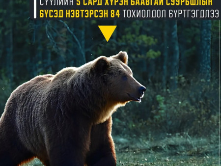 Баавгай суурьшлын бүсэд нэвтэрснийг харсан даруйдаа шуурхай мэдээлээрэй