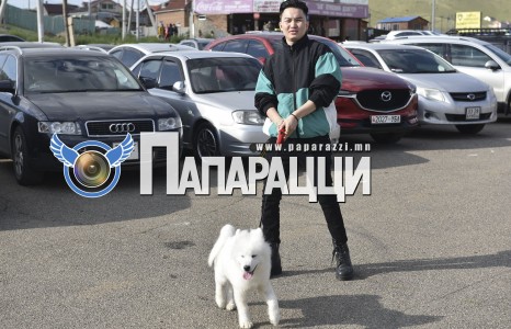 Tempoo салхилж явна