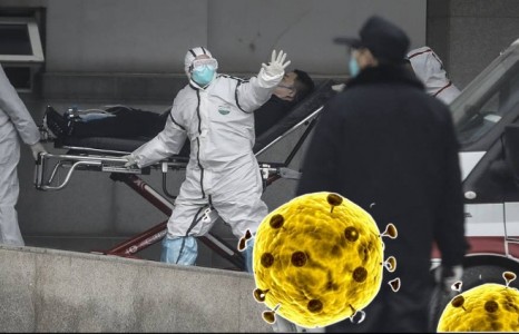 Азийн дөрвөн улсад илрээд буй коронавирусийн тухай мэдвэл зохих 6 ЗҮЙЛ