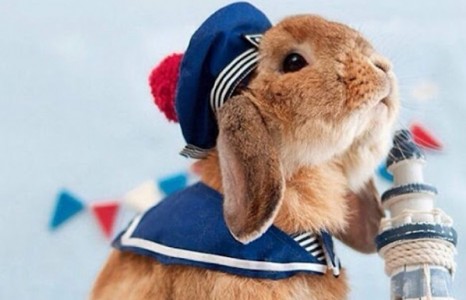 Photo paparazzi: Дэлхийн хамгийн загварлаг бүжин /фото/