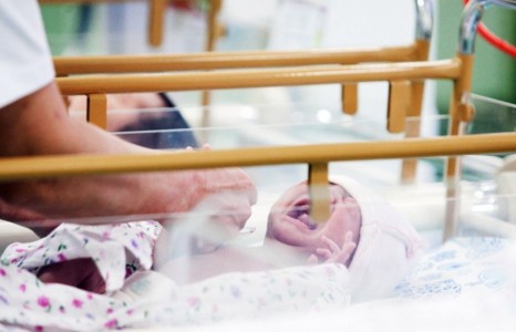 News paparazzi: Тусгай нислэгээр ирсэн бүсгүй амаржиж, охинтой боллоо