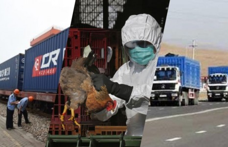 News paparazzi: Олон улс орнууд Хятадаас хүнсний бүтээгдэхүүн татан авалтаа зогсоож эхэллээ, Монгол улс яах вэ?