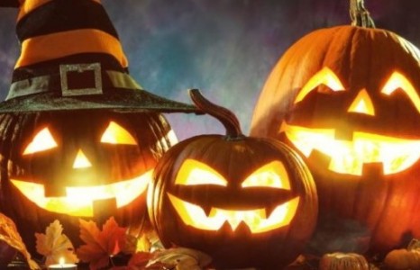 Halloween-ы баяр тэмдэглэхийг хориглолоо