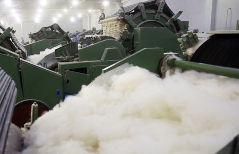 News paparazzi: Италийн брэндүүд “Монголын хаан ширхэгт” ноолуурыг захиалав