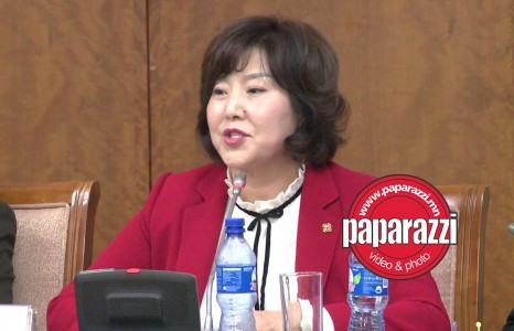 News paparazzi: Д.Сарангэрэл: Дотооддоо халдвар алдаагүй цорын ганц улс Монгол боллоо
